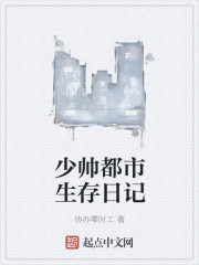 少帅都市生存日记